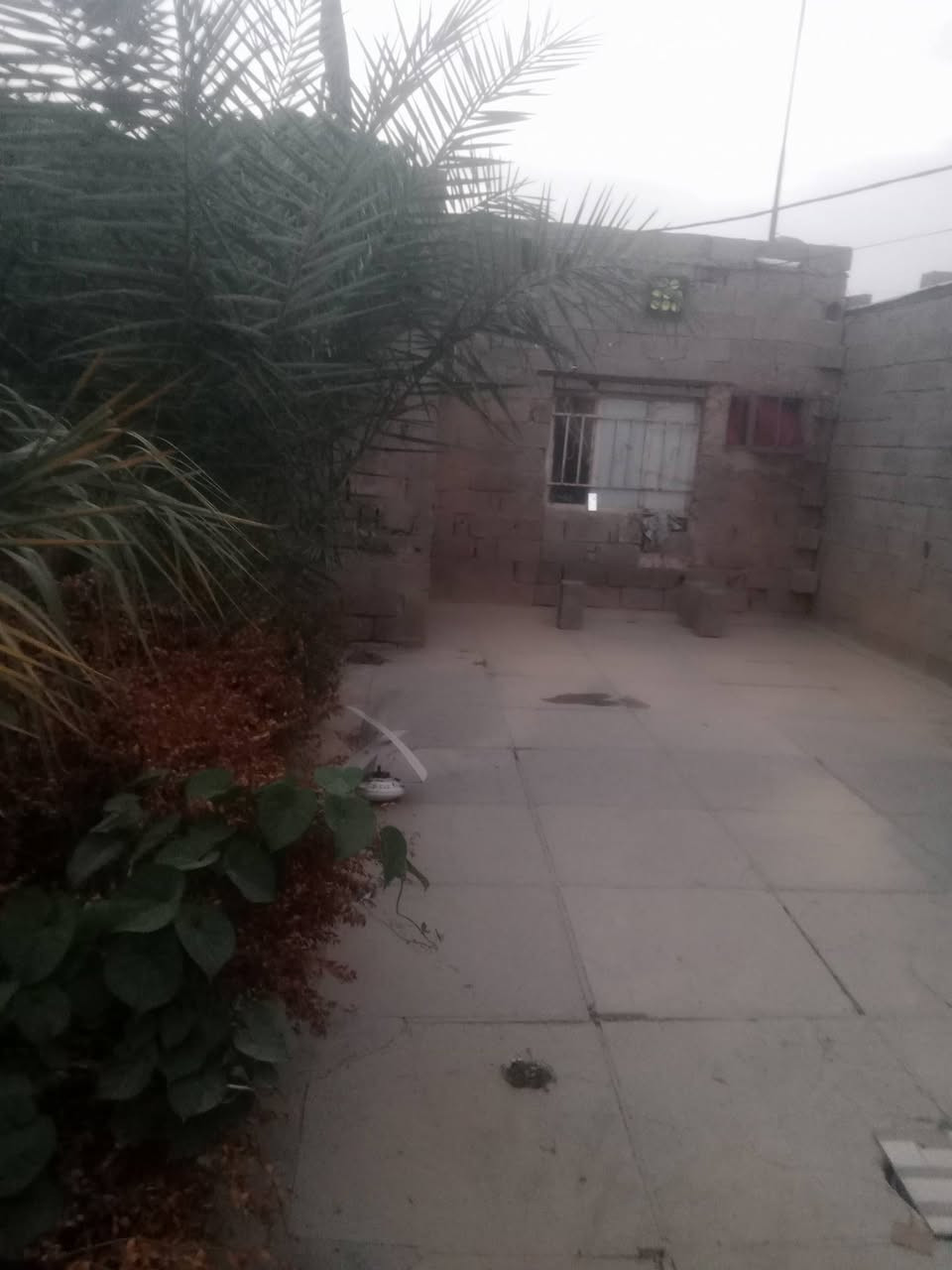 بيت للبيع • جسر ديالى القديم • حديقة كبيرة