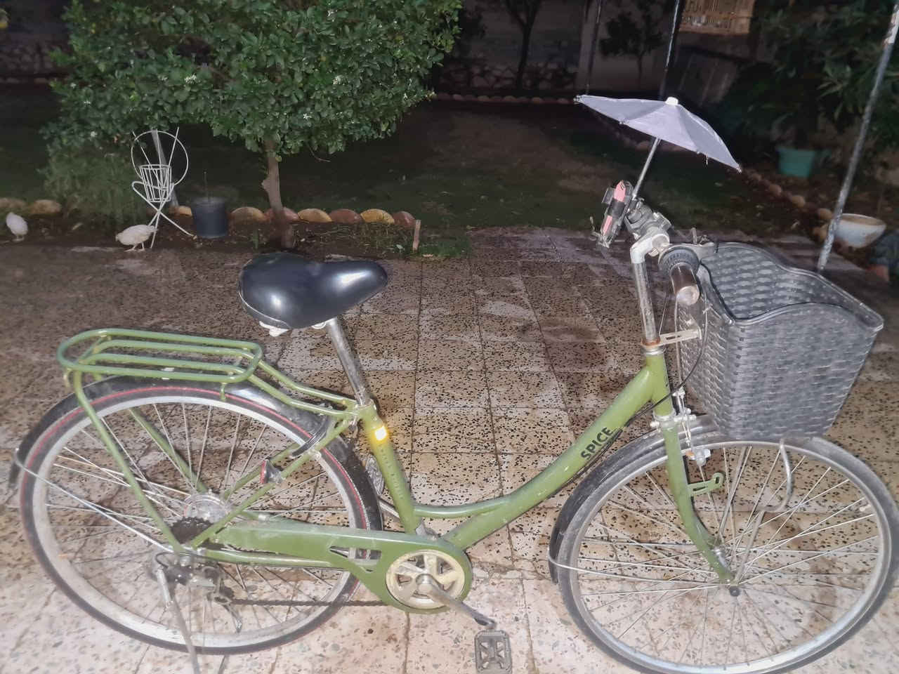 باسكل عبد الحليم • زيتوني • جير شغال