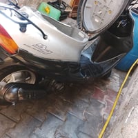 9زروف • زنون • سمجه تريشه