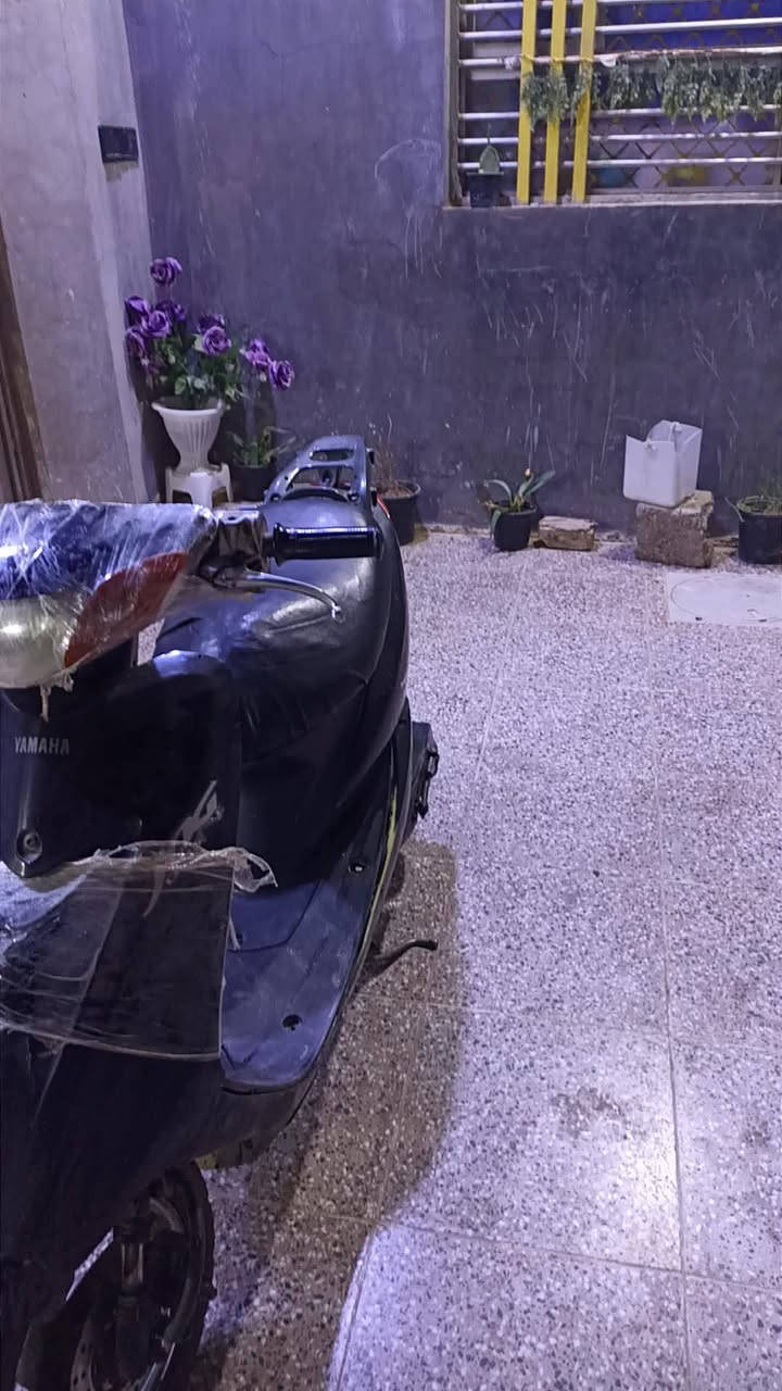 عصفورية • ٦٠ • يحتاج باتري