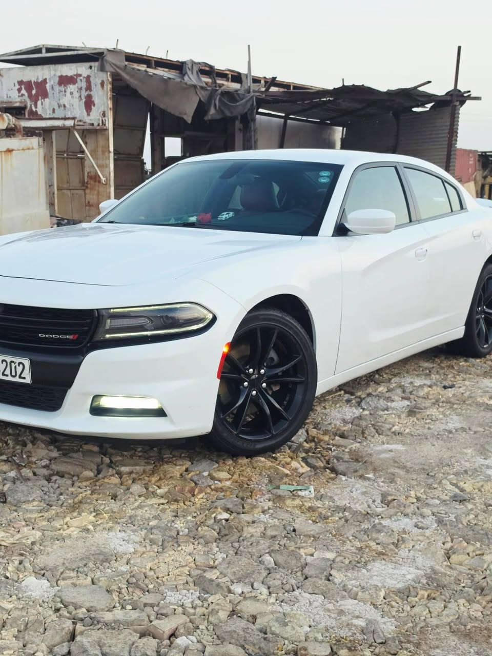جارجر XST موديل 21 خليجيه تبديل باب ساق فقط وباب الخلفي مكحل كارت والباقي مكفول ماشيه 55الف كشن حاضن جلد شاشه كبيره دمام بلجنطه تزويد سماعات انبي فاير رقم صاحب سياره *********** مكلف بلنشر ابو رضا سعر سياره250$
