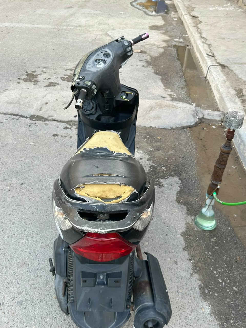 ثعلب • نقص • جوزه شغاله
