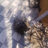 شغال • جاهز للفحص • قطع غيار