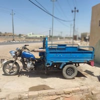 ستوته • ٢٥ • اوراق ضايعه