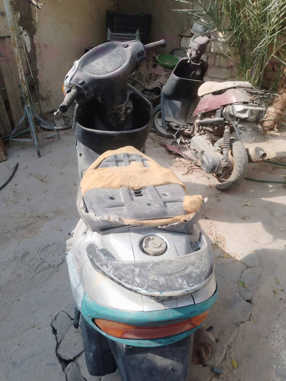 سيام • نجف • واتساب