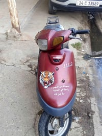 ابريو • شاصي شرط • سلف