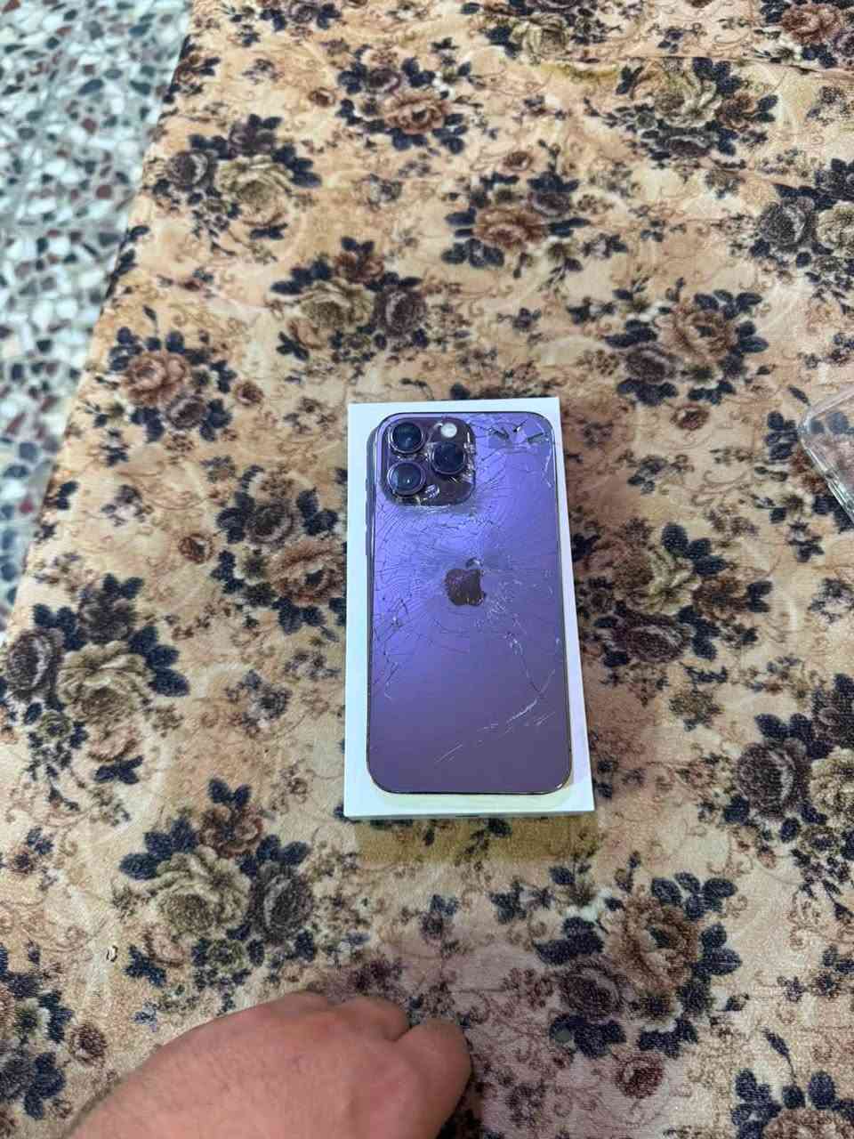 السلام عليكم اخوان ايفون14برو ماكس
بطاريه93🔋
ذاكره256
الجهاز مبدل شاشه نوعيه ممتازه +ضهرة مفطر مثل مموضح بل صوره 
مكاني بغداد الحبيبيه
سعر الجهاز 600وبي. مجال. ومن عيوني
رقم الهاتف📞***********
والشراي اتصل وبيك خير وتدلل😍
