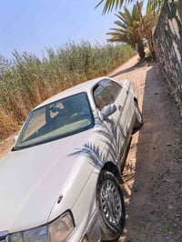 فحل • ١٩٩٤ • بابل جبله