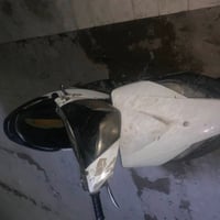 ثعلب • كابريتر اصلي • اسود