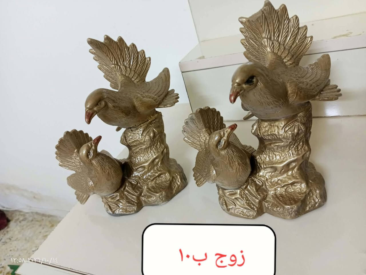 الشعب بغداد • میز طعام • عجانة
