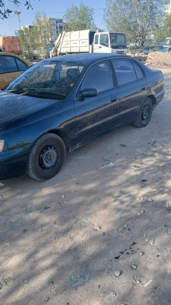 كرونا • ٩٢ • رقم نجف
