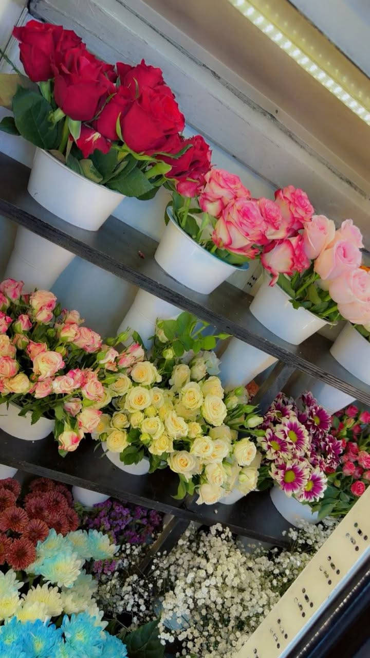 ورد طبيعي • بوكيه • توصيل