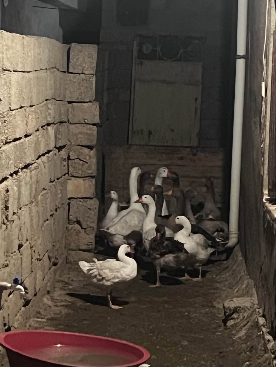 أربيل • للبيع • ئەوقەزانە