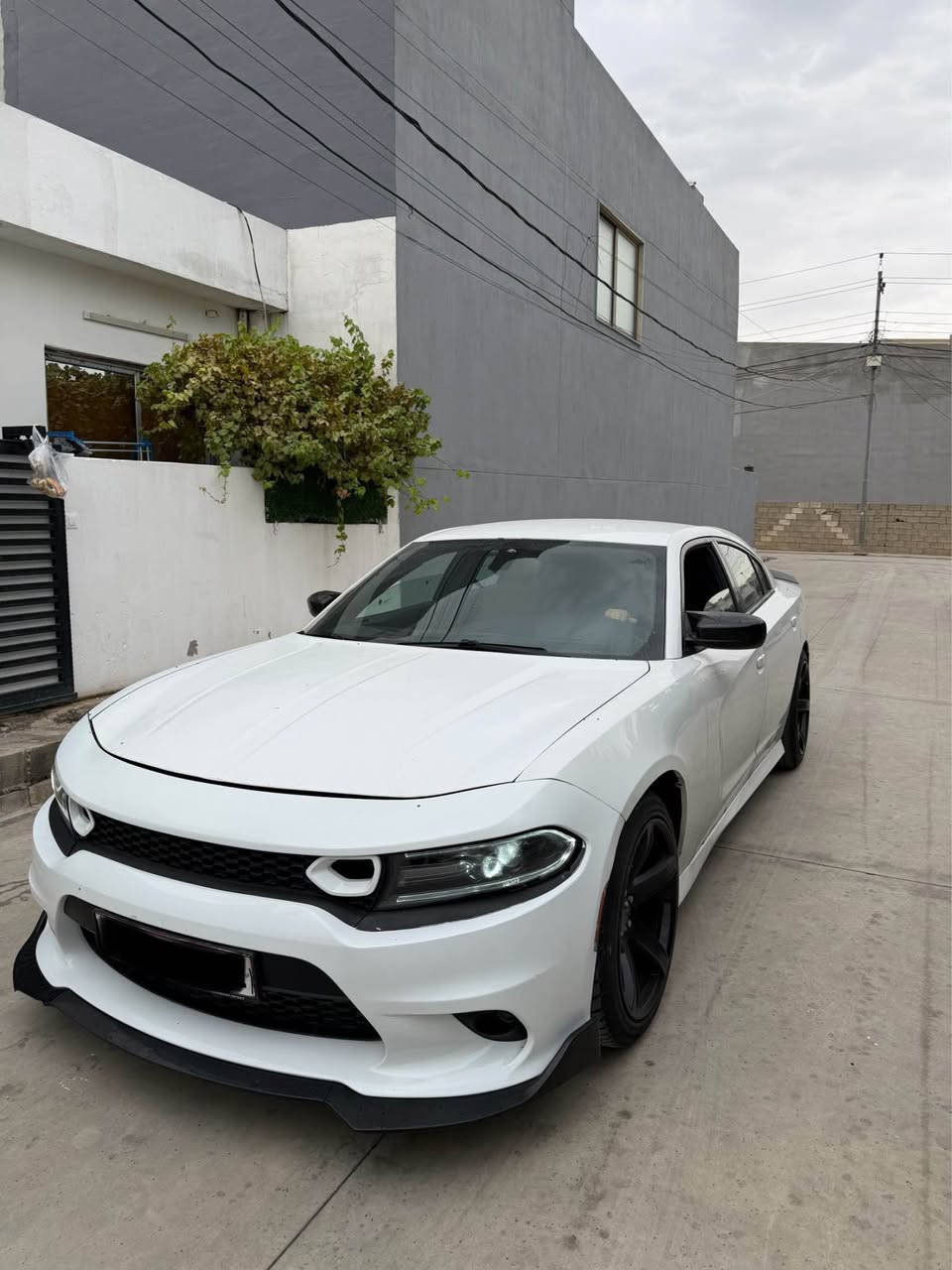 تشارجر SRT • ٢٠١٧ • أربيل