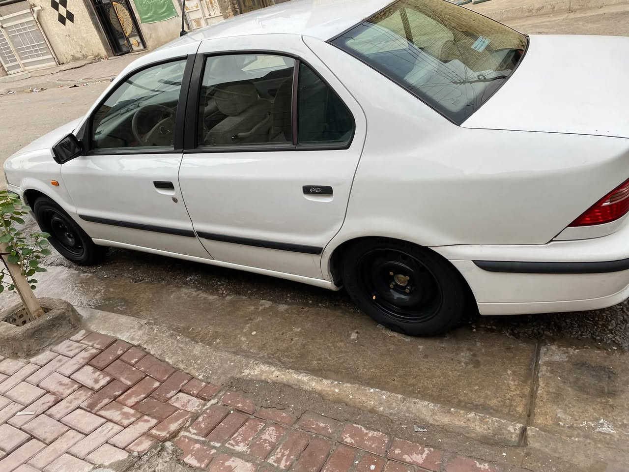 ٢٠١٢ • بدون صبغ • سنوية ساقطة