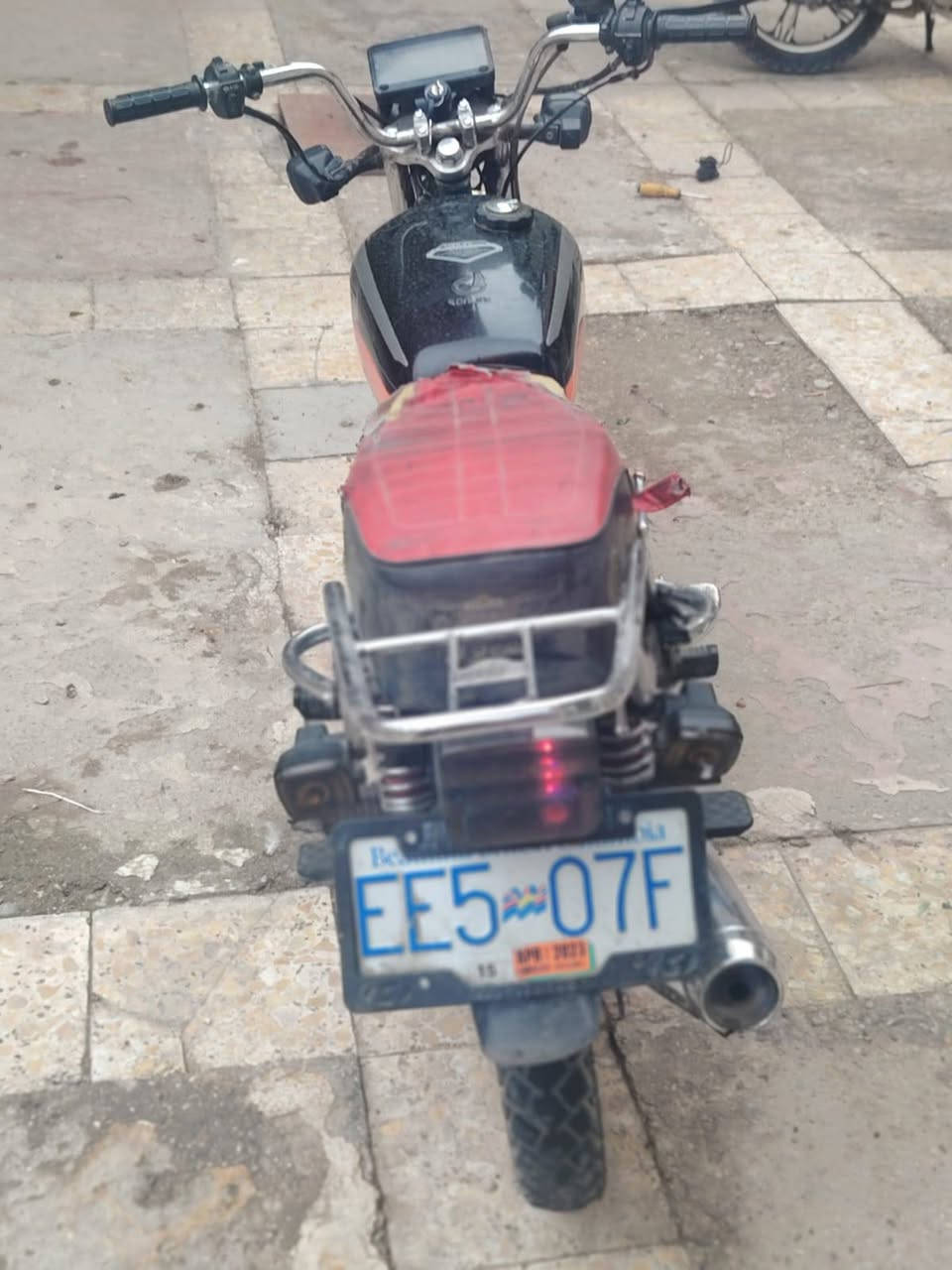 سولنك • ٢٠٢٤ • أوراق ضايعه