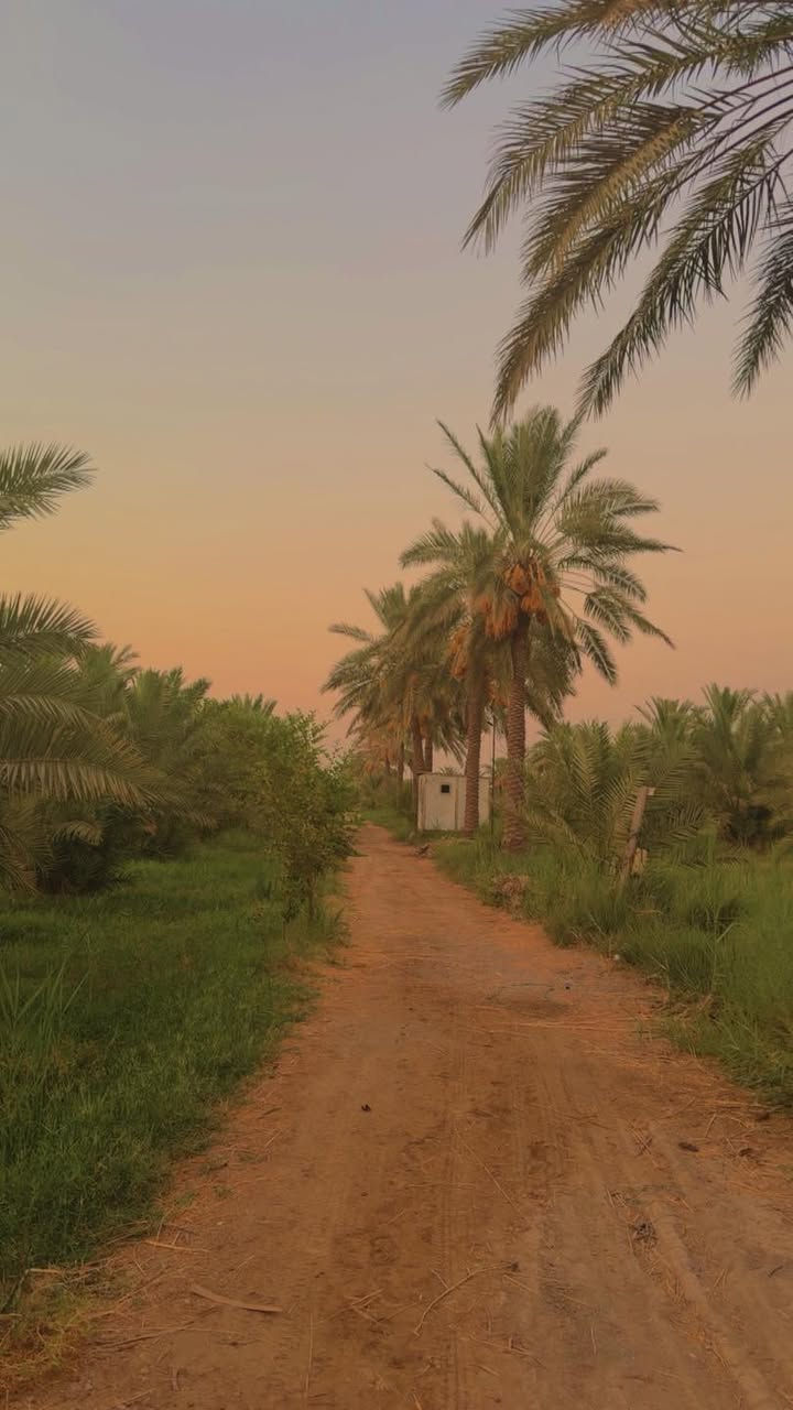 ارض مساحة 5 دونم طابو زراعي 
واسط الصويرة قرب المعارض 
تحتوي عل النخيل والحمضيات وكافة الخدمات 
تباع بالكامل او عل شكل منفصل 
للاستفسار ***********
