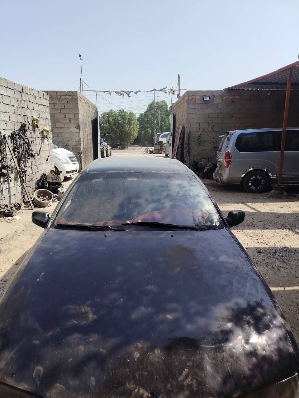 اقره للاخير يله تتصل فدوه للبيع او مراوس برنس رقم كربلاء الماني تحويل مباشر
محرك كير اكسل جدد باور شغال حداديه نصيفه تايرات نضاف كهربائيات شغاله جام اتو شغال تبريده كل غراضه موجوده حتا غاز بي بس ماعرف شبي عاطل
الكشر والداخل كدام العين السعر 13 ورقه العنوان بابل القاسم ***********
