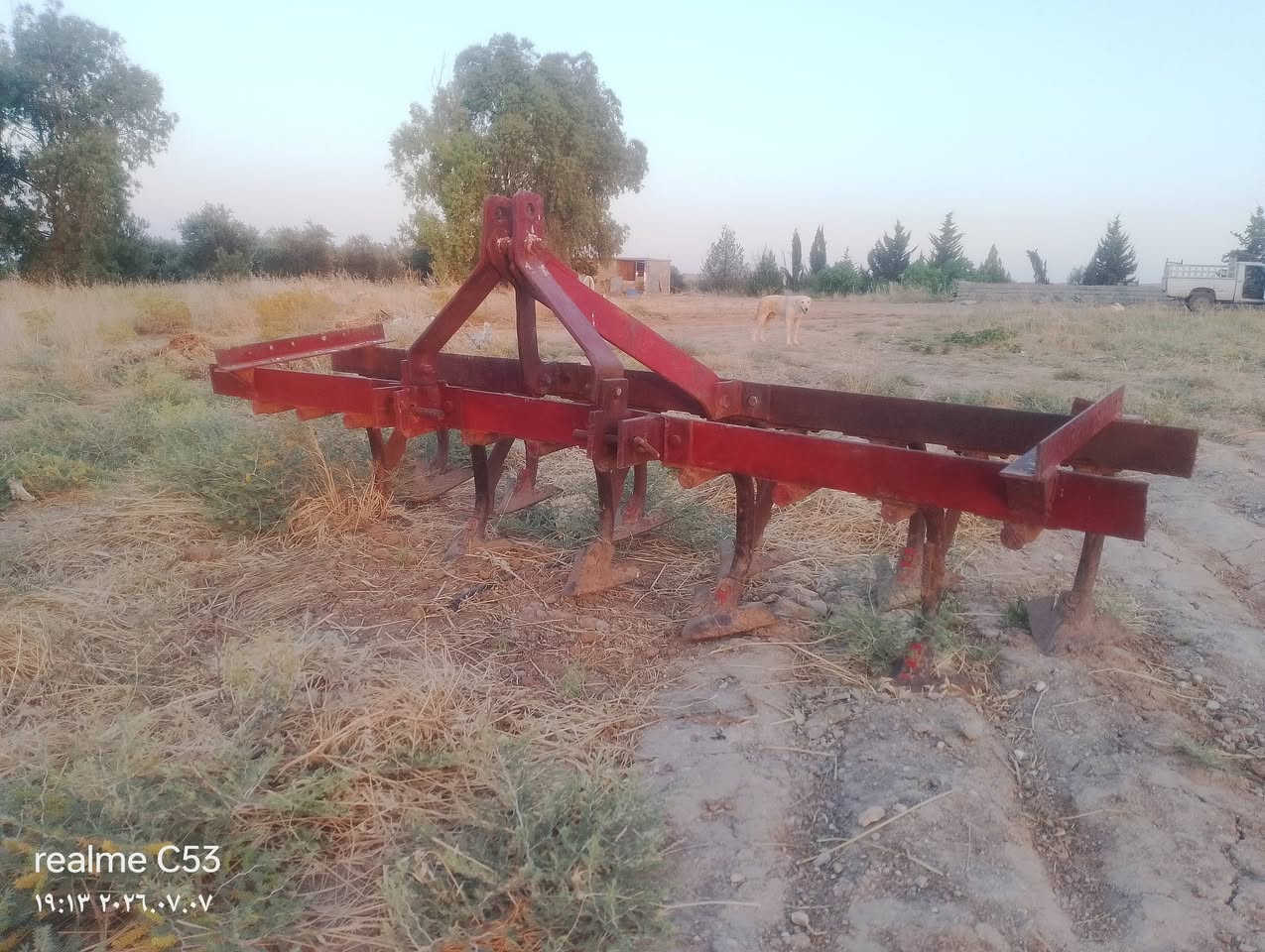 خرماشه للبيع شفتات ثقيله
للاستفسار الاتصال على الارقام التاليه

‏‪***********‬‏
‏‪***********‬‏

نص مكتوب في الصور:
- realme C53
- ١٩:١٣ ٢٠٢٦.٠٧.٠٧
- ۱۹:۱۳ ۲۰۲۶.۰۷.۰۷