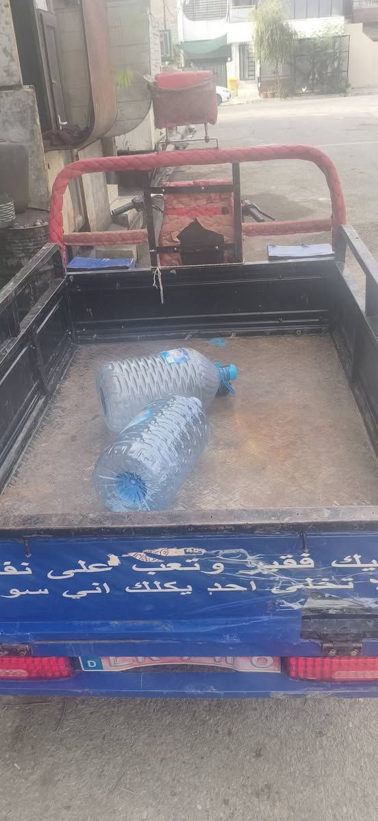 ستوته • ٢٠ فحل • ركبه شرط