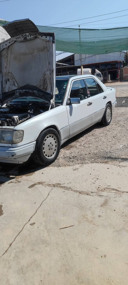 السلام عليكم
للبيع مارسدس دب 
مديل 86 
كير ومحرك بطه 2500 كفاله 
رقم اربيل دولي 
قواعد دبلات اربعه بلاد 
كفاله من الكص والضربه
كهربائيات كلها شغاله 
نقصها فقط حداديه وتبريد 
السعر 45 وبيها مجال 
العنوان الديوانية قضاء الشاميه 
***********
