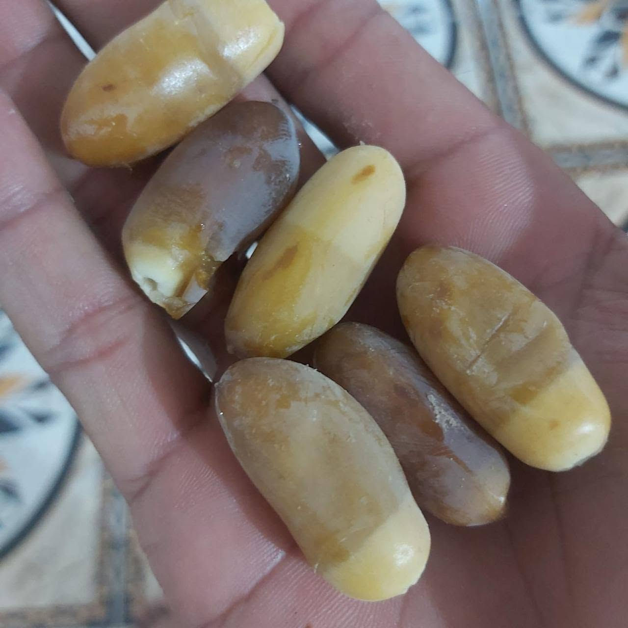 فسائل اكبار كلش ام الأصابع وهاي رطبتهن اثنين اله تنشال الفسيلة وجذورهن تخبل أسعار مناسبة ***********
