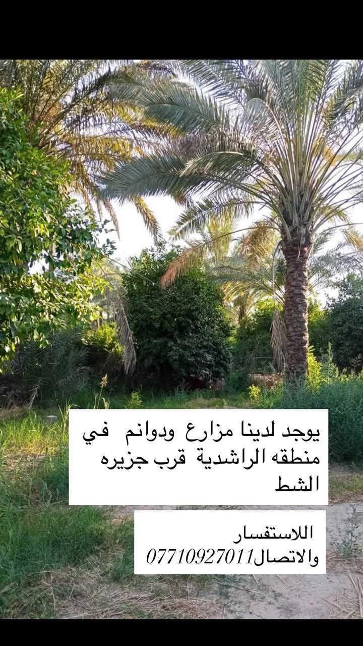 مزارع • دوانم • الراشدية