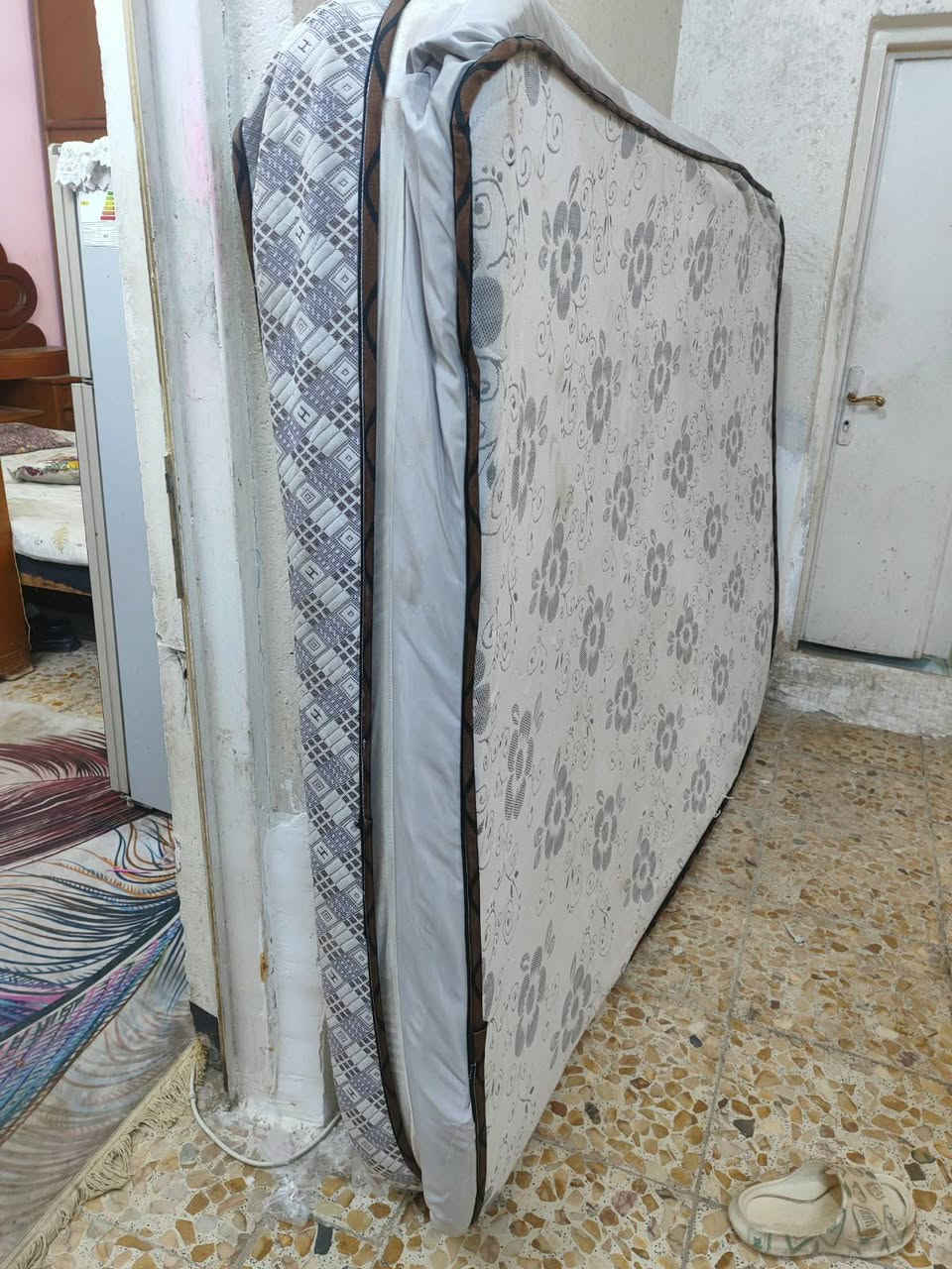 دوشك نفرين • سفنج وجهين