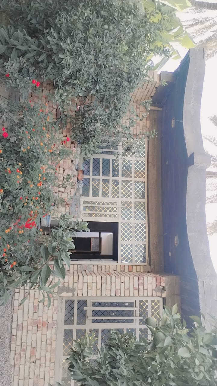 سلام عليكم عندي ربع دونم ٦٢٥ متر مربع ٢٤في٢٦ سند ٢٥ طابو صرف زراعي بي بيت جديد يحتوي على ٢غرفه نوم +حولي جبير وخدمات واستقبال ومطبخ كافت الخدمات موجوده ماء كهرباء مدارس بغداد الراشديه ساده البحيات قريبه على الشارع الرئيسي فحامه راشديه مزروعه حمضيات وبرتقال السعر ١٥٥ مليون للستفسار اكثر اتصل *********** بي وتساب

