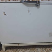 مجمدة • رويال الرحماني • شرط