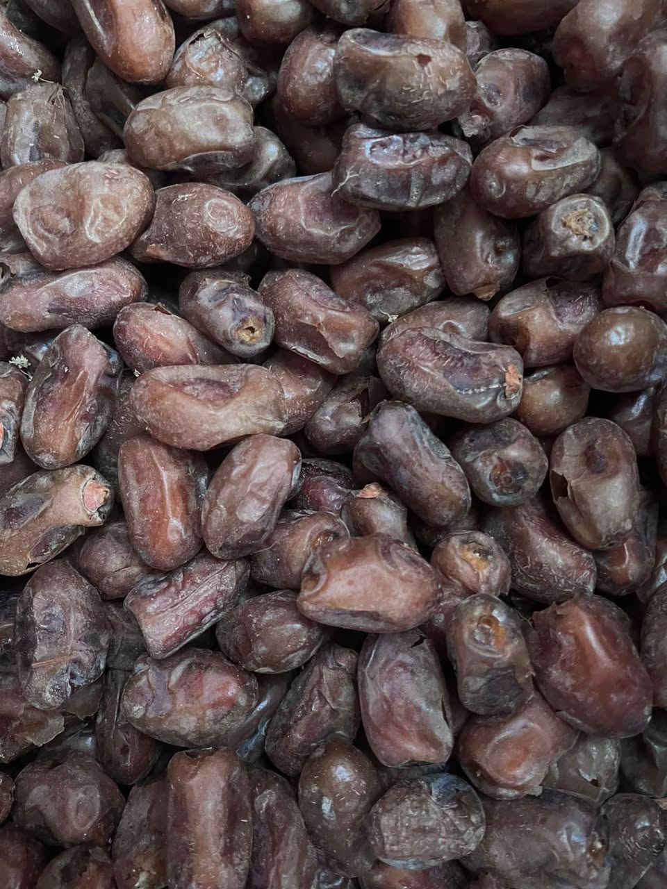 شويثي اصفر • بنت السوده • خضراوي