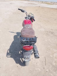 بوكسر جبلي • ٢٠١٨ • اصلي