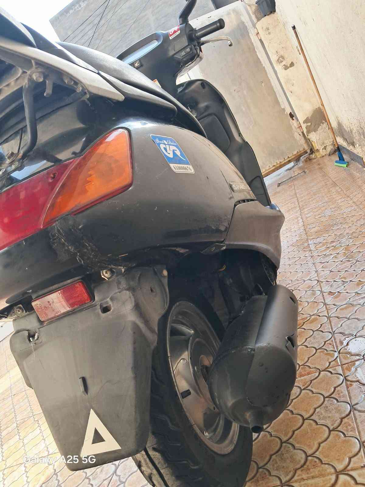 سبيسي • ياباني • بلاديه