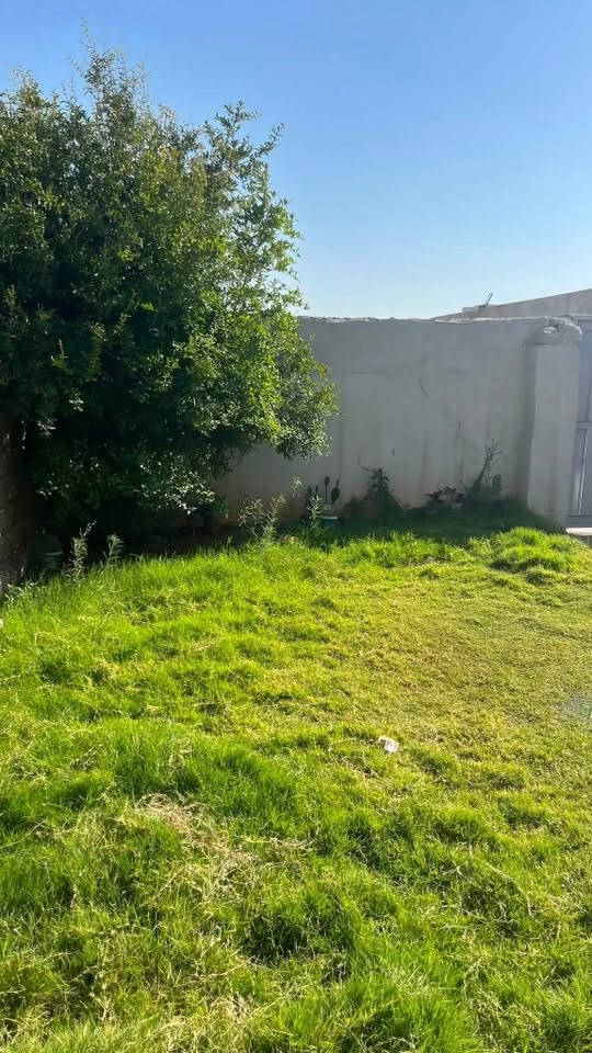 سلام عليكم بيت للبيع حي دجله 300متر ميعوزو شي سيراميك بورسلين سقف ثنوي بيت  كامل  حديقه  البيت يتكون من غرفتين كبار وهول ومطبخ وحمام وترك وستقبال مي+شوارع يرهم مقدمه والباقي مده او قصد السعر اتصال فقط ***********
