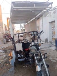 ستوته • ٢٠٢١ • اوراق بنفس اليوم