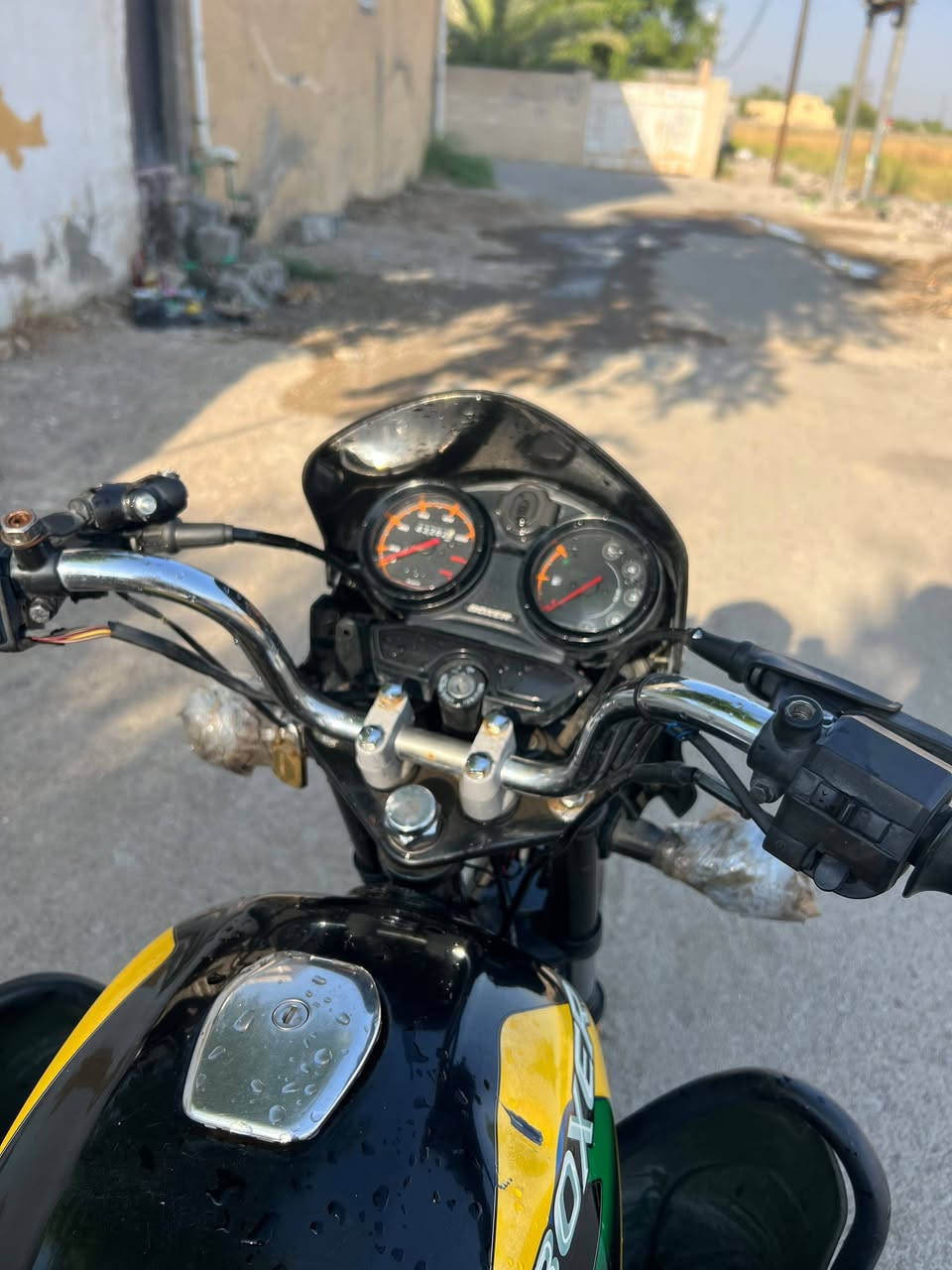 بوكسر • ٢٠٢١ • بدون أوراق