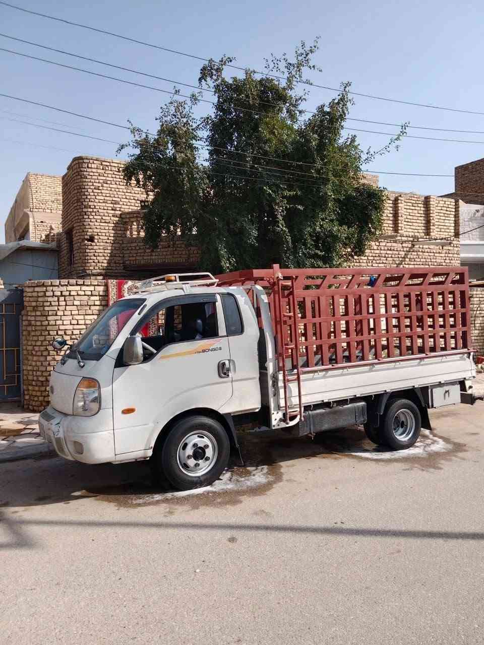 موديل 12 • فحل • كاردن وأكسل كفالة