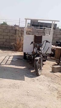 ستوته • معمرة • ما تشتغل