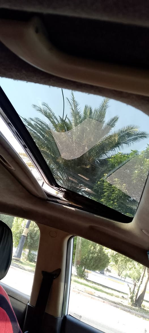 السلام عليكم اكسنت خليجي مديل 11 مكينه ١٦٠٠ قطرتين فتحه سقف تحكمات اشاير بلمري جنطه كهرباء مكينه شاده جديد تخم تأير ويل كب بيه بنيد وجاملغ مبدل السعر ٦٩ ورقه مكاني بغداد ***********
