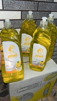 كارتون • زاهي بي • ١٢ بطل