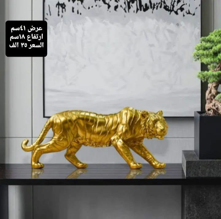 هدية • مقاسات مختلفة • توصيل لكل العراق