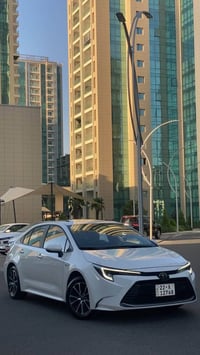 كورولا فوله • ٢٠٢٤ • أربيل