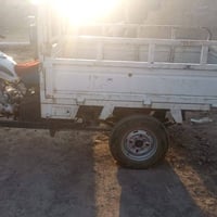 ستوته • ديوان • بدون اوراق