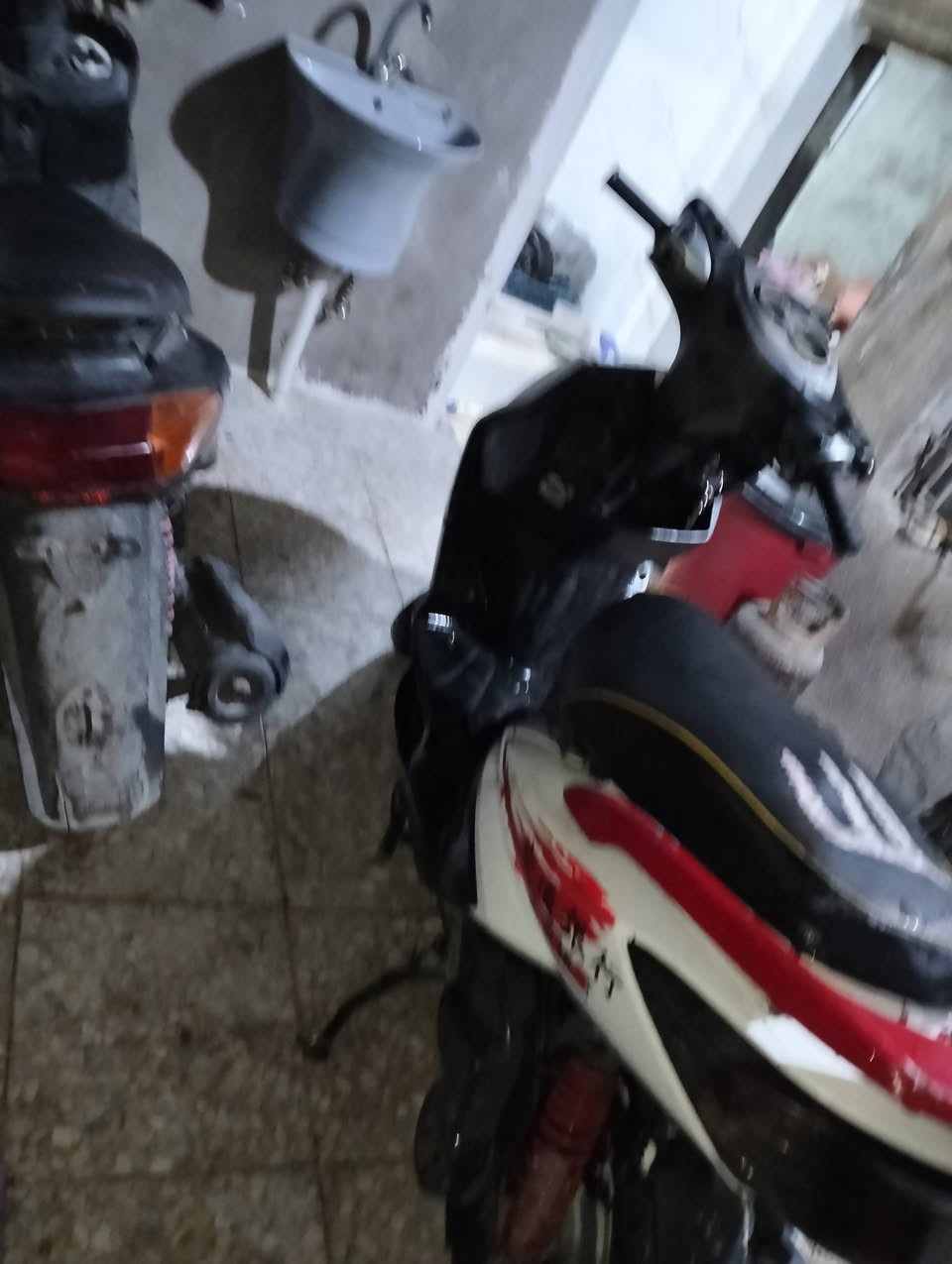 سكنس فحل • كابريتر • بلاديه