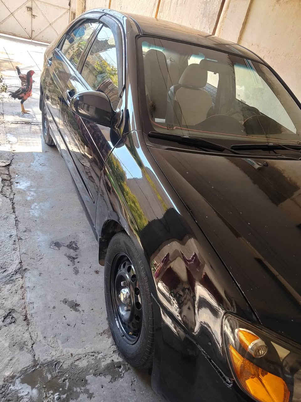 سلام عليكم سبكترا ٢٠٠٦ محدثه ٢٠١٠ مصبوغه حزام ضربتها جاملغ خلفي بدون شاصي ولا لغود مقفولات سياره حلوه 
كير مكينه تبريد مكفولات تبريد ثلج 
لا تنقيص ولا تبخير 
حداديه ٨٠٪؜ صدر خلفي امامي 
الخلفي فقط دبلات مشتريهن موجودات 
السعر 60$ بيها مجال
للاستفسار اكثر والتواصل 
***********

