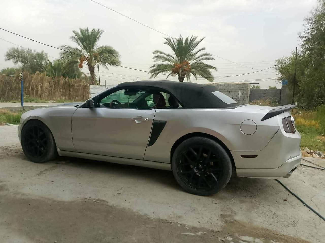 سعر معقول وبسيط تفضل خاص وتدلل

موستنك 2011 كشف حادثها جاملغ السايق وشويه من بنيد 

نواقصها بسيطه 

1 نضوح ب قبق مال محرك فوك قليل نضوحها 

2 بلكات تخم شلعه ضعيفه بس معدل امشي بيها 180 تجي ركض بس شلعه بطناش ضعيفه 

3 تنضيف نوزلات 

4 جامه الوره الصغيره مجلبه كامت متصعد 

5 دوشمتها الداخليه شويه تعبانه الكشنات

6 دسكات بريك منتهيه

مكاني بغداد الشعله
وتساب 
***********
