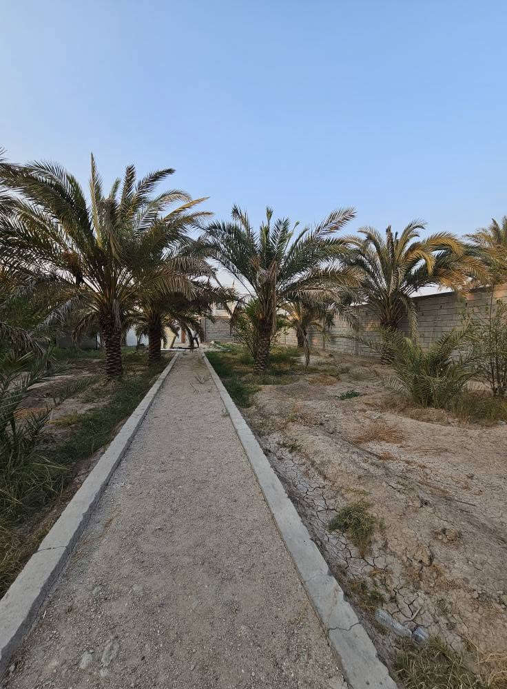 🌴 بستان للبيع في أبي الخصيب – محيلة 🌴
📐 المساحة: 1070م² (ألف وسبعون متر)
📜 الطابو: صرف، سهم وتحويل مباشر باسم المشتري
🌴 يحتوي على عدد من النخيل والأشجار
🔒 محكم بسياج من جميع الجهات
🌊 يطل على نهر جاري مباشرة
💧⚡ جميع الخدمات متوفرة
📍 العنوان: البصرة – أبي الخصيب – محيلة، قرب سوق محيلة
📞 للاستفسار والاتصال:
*********** البصرة, العراق

نص مكتوب في الصور:
- ***********