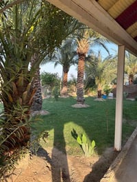 طريق الكفل • أرض مع بيتين • واجهة شارع عام