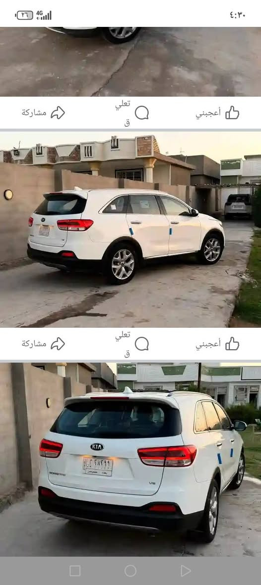 ٢٠١٥ • شكل ١٦ • ٣ قطع صبغ