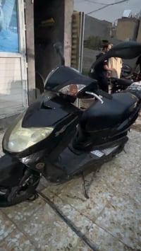 سكنس فحل • نضيفه حيل • أوراق كامله